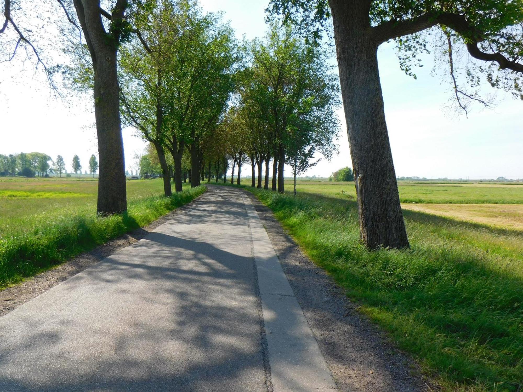 Appartamento Deel Erf Het 8Ste Werk Kampen Esterno foto